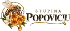 Stupina Popoviciu